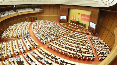 Thống nhất nhận thức, nắm vững điểm mới và mối quan hệ hữu cơ giữa các nghị quyết, chỉ thị của Bộ Chính trị