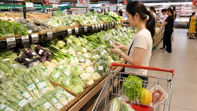 Chỉ số giá tiêu dùng tháng 8/2026 tăng 0,47% do chịu tác động trực tiếp từ giá xăng dầu