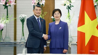 Thúc đẩy quan hệ hợp tác Việt Nam - AIIB ngày càng đi vào chiều sâu