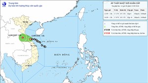 Áp thấp nhiệt đới gây mưa lớn ở khu vực Bắc Bộ và Trung Bộ