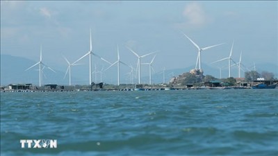 APEC đạt đồng thuận về hợp tác năng lượng và chuyển đổi xanh