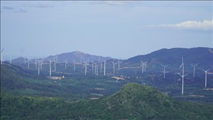 Tỉnh Quảng Trị chấp thuận chủ trương đầu tư hai dự án điện gió với tổng vốn hơn 15.000 tỷ đồng
