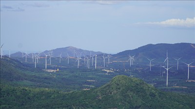 Tỉnh Quảng Trị chấp thuận chủ trương đầu tư hai dự án điện gió với tổng vốn hơn 15.000 tỷ đồng