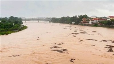 Ban chỉ đạo Phòng thủ dân sự quốc gia yêu cầu ứng phó với lũ trên các tuyến sông