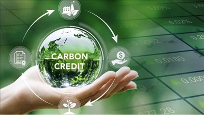 Nâng chuẩn quốc tế cho tín chỉ carbon Việt Nam