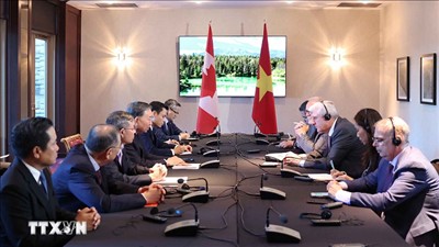 Tổng Bí thư, Chủ tịch nước Tô Lâm tiếp một số doanh nghiệp, tập đoàn tại Canada