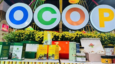 Phê duyệt Đề án Phát triển các mô hình outlet tại Việt Nam