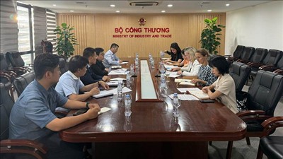 Việt Nam - Đan Mạch mở rộng hợp tác trong lĩnh vực chuyển đổi năng lượng, phát triển công nghiệp