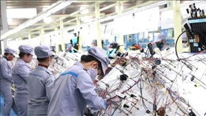 Sản xuất công nghiệp tăng 12,3%, đạt mức tăng cao nhất kể từ năm 2019