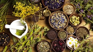 Phê duyệt Chiến lược quốc gia phát triển nền y học cổ truyền Việt Nam