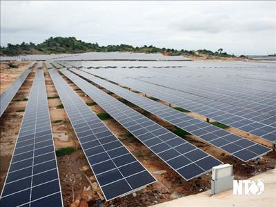 Ninh Thuận: Giá trị sản xuất điện từ năng lượng mặt trời ở Thuận Nam đạt 1.865 triệu kWh
