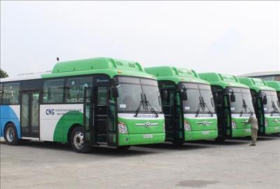 Từ 1/8, xe buýt nhiên liệu sạch - CNG Hà Nội chính thức hoạt động