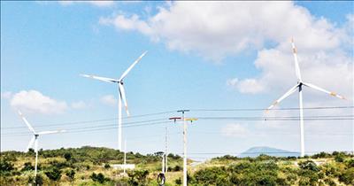 Bàn cách giải tỏa công suất các dự án năng lượng tái tạo tại Ninh Thuận