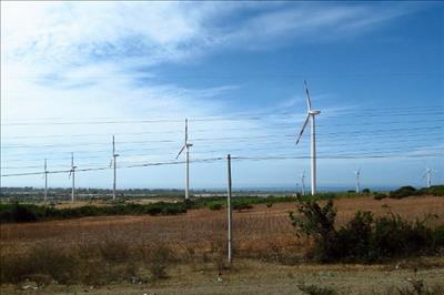 Nhà máy điện gió Mũi Dinh chính thức hòa lưới điện quốc gia