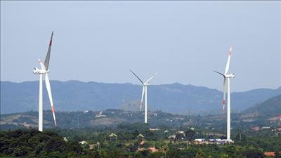 Đầu tư hơn 5.200 tỷ đồng phát triển điện gió ở Quảng Trị