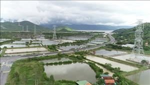 Rà soát tiến độ dự án đường dây 500kV Vân Phong – Vĩnh Tân
