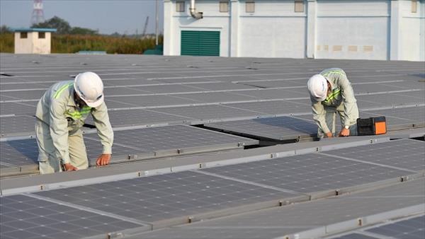 Sớm trình Chính phủ ban hành cơ chế DPPA và cơ chế khuyến khích phát triển điện mặt trời mái nhà 