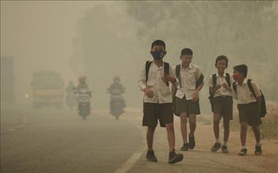 Ô nhiễm không khí làm rút ngắn tuổi thọ trẻ em 