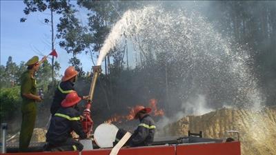 Hà Nội tăng cường phòng chống thiên tai, cháy rừng trong mùa nắng nóng
