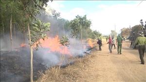 Quyết liệt triển khai các biện pháp phòng cháy, chữa cháy rừng